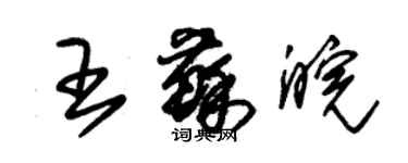 朱錫榮王蘇皖草書個性簽名怎么寫