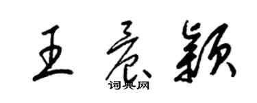 梁錦英王晨穎草書個性簽名怎么寫