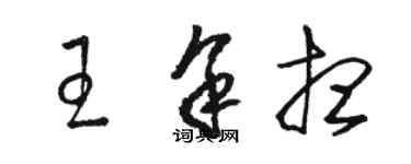 駱恆光王余想草書個性簽名怎么寫