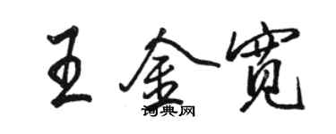 駱恆光王金寬行書個性簽名怎么寫