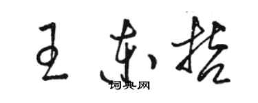 駱恆光王東哲草書個性簽名怎么寫