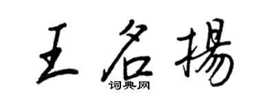王正良王名揚行書個性簽名怎么寫