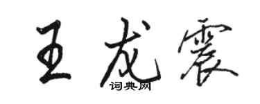 駱恆光王龍震行書個性簽名怎么寫