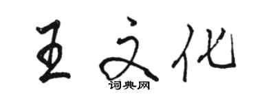 駱恆光王文化行書個性簽名怎么寫