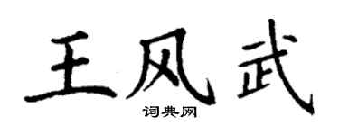 丁謙王風武楷書個性簽名怎么寫