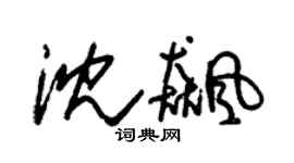 朱錫榮沈飈草書個性簽名怎么寫