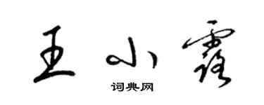 梁錦英王小露草書個性簽名怎么寫