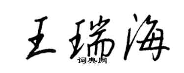 王正良王瑞海行書個性簽名怎么寫