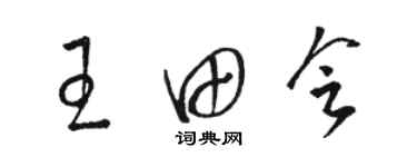 駱恆光王田會草書個性簽名怎么寫