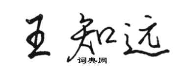 駱恆光王知遠行書個性簽名怎么寫