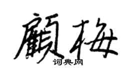 王正良顧梅行書個性簽名怎么寫