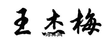 胡問遂王傑梅行書個性簽名怎么寫