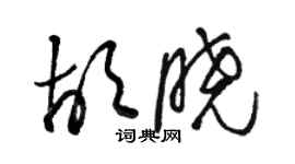 駱恆光胡曉草書個性簽名怎么寫