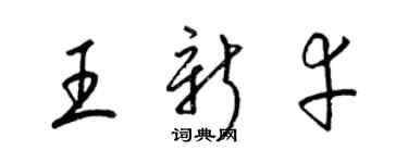 梁錦英王新幸草書個性簽名怎么寫