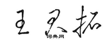 駱恆光王君拓草書個性簽名怎么寫