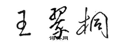 駱恆光王翠桐草書個性簽名怎么寫