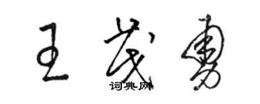 駱恆光王茂勇草書個性簽名怎么寫