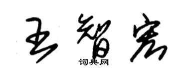 朱錫榮王智宏草書個性簽名怎么寫