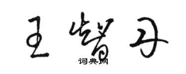 駱恆光王智丹草書個性簽名怎么寫