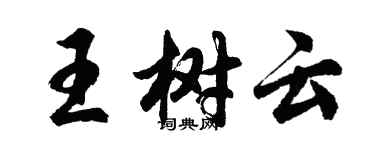 胡問遂王樹雲行書個性簽名怎么寫