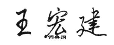 駱恆光王宏建行書個性簽名怎么寫