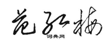 駱恆光范紅梅草書個性簽名怎么寫