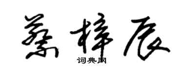 朱錫榮蔡梓辰草書個性簽名怎么寫