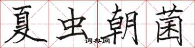 駱恆光夏蟲朝菌楷書怎么寫