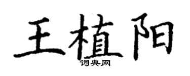 丁謙王植陽楷書個性簽名怎么寫