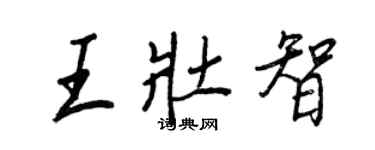 王正良王壯智行書個性簽名怎么寫