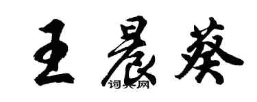 胡問遂王晨葵行書個性簽名怎么寫