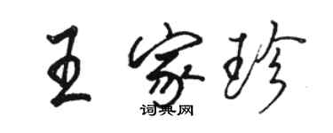 駱恆光王家珍行書個性簽名怎么寫