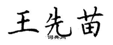 丁謙王先苗楷書個性簽名怎么寫