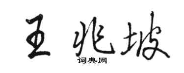 駱恆光王兆坡行書個性簽名怎么寫