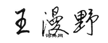 駱恆光王漫野行書個性簽名怎么寫