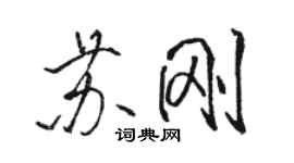 駱恆光蘇剛行書個性簽名怎么寫