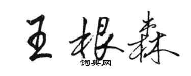 駱恆光王根森行書個性簽名怎么寫