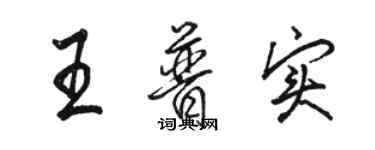 駱恆光王普實行書個性簽名怎么寫