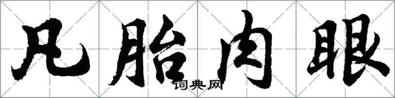 胡問遂凡胎肉眼行書怎么寫