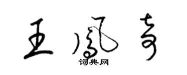 梁錦英王鳳奇草書個性簽名怎么寫