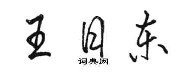 駱恆光王日東行書個性簽名怎么寫