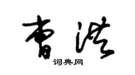 朱錫榮曹洪草書個性簽名怎么寫