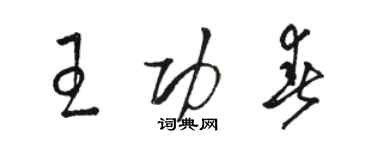 駱恆光王功春草書個性簽名怎么寫