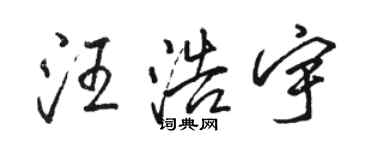 駱恆光汪浩宇行書個性簽名怎么寫