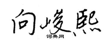 王正良向峻熙行書個性簽名怎么寫