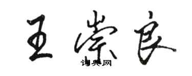 駱恆光王崇良行書個性簽名怎么寫