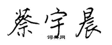 王正良蔡宇晨行書個性簽名怎么寫
