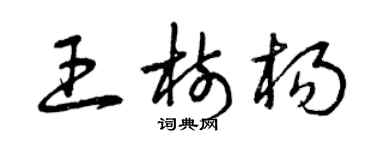 曾慶福王樹楊草書個性簽名怎么寫