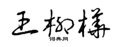 曾慶福王柳樺草書個性簽名怎么寫