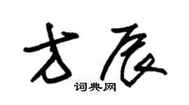 朱錫榮方辰草書個性簽名怎么寫